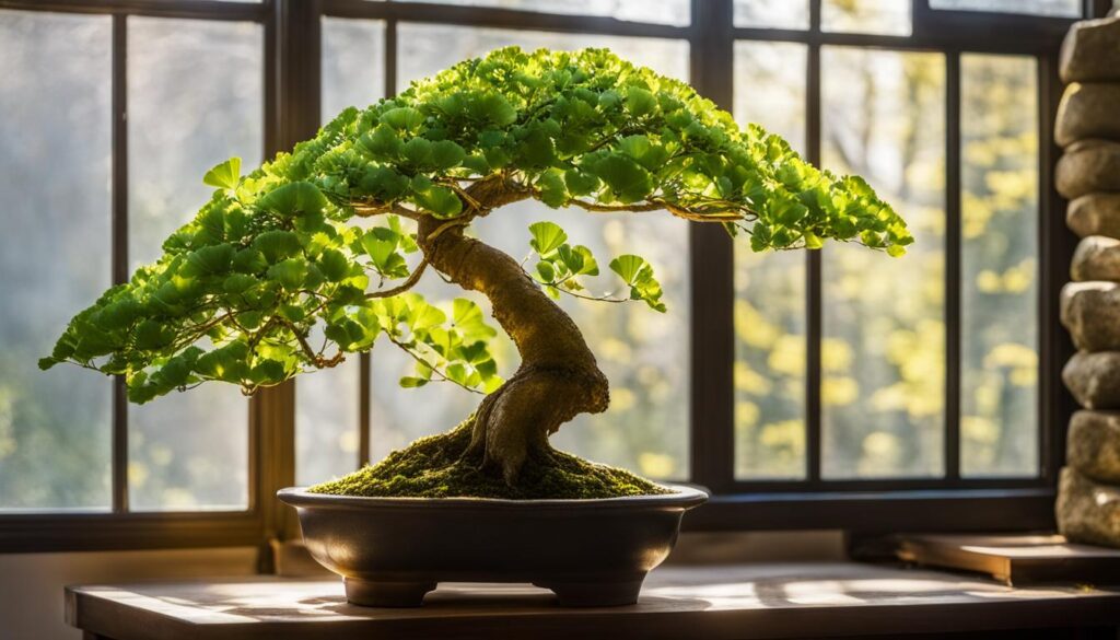 Ginkgo Biloba Bonsai Tree