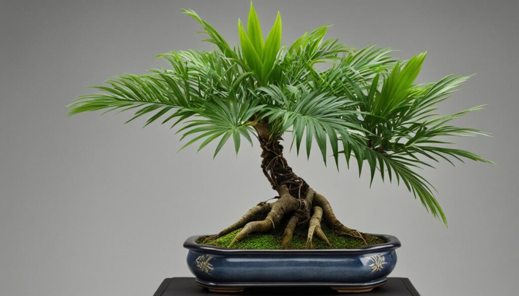 Miniature Palm Bonsai