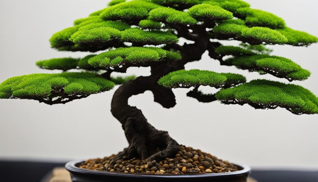 inorganic bonsai soil
