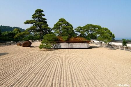 Akao Garden's Red Pine