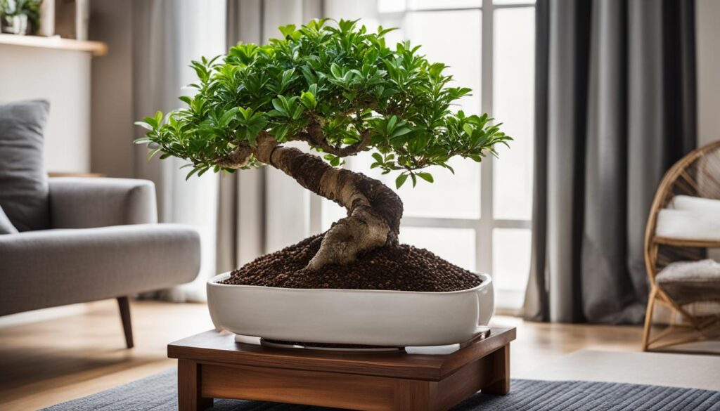 indoor placement for bonsai lemon tree